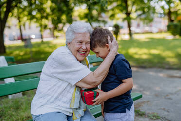 Ein Enkelkind überrascht seine Großmutter mit einem Geburtstagsgeschenk im Park. Lifestyle, Familienkonzept - HPIF04522