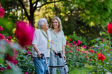 Eine erwachsene Enkelin unterstützt ihre ältere Großmutter beim Spaziergang mit dem Rollator im Park im Sommer. - HPIF04531
