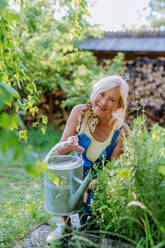 Eine glückliche ältere Frau, die sich um die Blumen im Garten kümmert und mit einer Gießkanne gießt. - HPIF04635