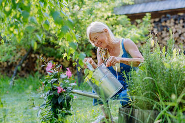 Eine glückliche ältere Frau, die sich um die Blumen im Garten kümmert und mit einer Gießkanne gießt. - HPIF04636