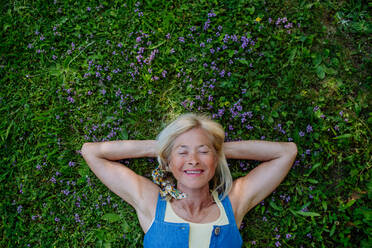 A top view of relaxed senior woman lying down in field of wild thymus flowers, natural medicine concept. - HPIF04639