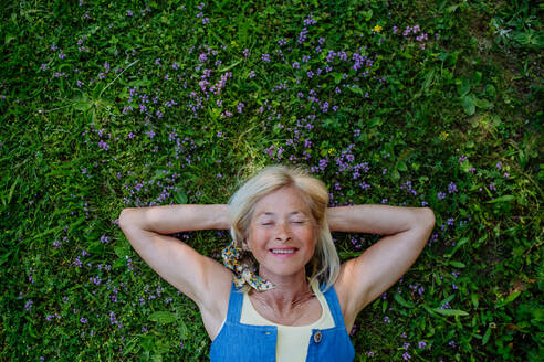 Eine Draufsicht auf eine entspannte ältere Frau, die in einem Feld mit wilden Thymusblüten liegt, Konzept der natürlichen Medizin. - HPIF04639