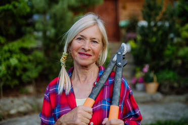 Porträt einer älteren Frau bei der Gartenarbeit im Sommer, die eine Gartenschere hält und in die Kamera schaut. - HPIF04649