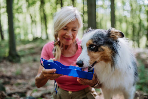 Senior woman giving water to her dog during walking in a forest. - HPIF04667