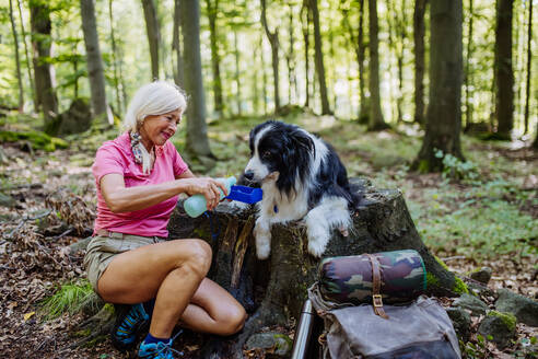 Ältere Frau gibt ihrem Hund beim Spaziergang im Wald Wasser. - HPIF04668