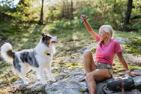 Ältere Frau trainiert ihren Hund beim Spaziergang im Wald. - HPIF04671