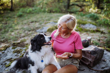 Senior woman training her dog during walk in a forest. - HPIF04675
