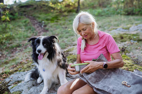 Senior woman having break during walking her dog in a forest. - HPIF04677