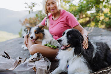 Senior woman having break during walking her three dogs in a forest. - HPIF04681