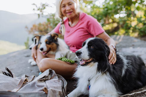 Ältere Frau macht Pause beim Spaziergang mit ihren drei Hunden im Wald. - HPIF04681