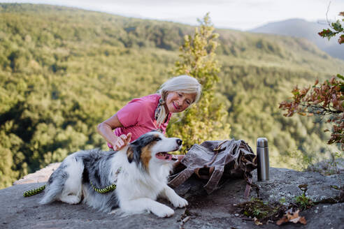 Ältere Frau ruht sich aus und streichelt ihren Hund beim Spaziergang im Wald. - HPIF04764
