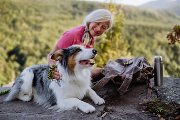 Ältere Frau ruht sich aus und streichelt ihren Hund beim Spaziergang im Wald. - HPIF04765