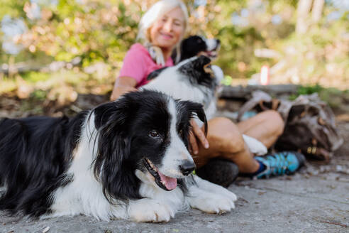 Hunde, die zu den Füßen des Besitzers liegen und sich beim Spaziergang im Wald ausruhen. - HPIF04766