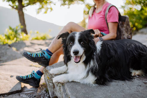 Hunde, die zu den Füßen des Besitzers liegen und sich beim Spaziergang im Wald ausruhen. - HPIF04770