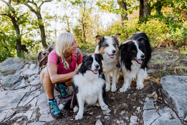 Ältere Frau macht Pause beim Spaziergang mit ihren drei Hunden im Wald. - HPIF04773