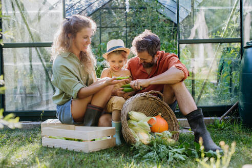 Eine Bauernfamilie mit frischer Ernte steht vor einem Gewächshaus. - HPIF04846