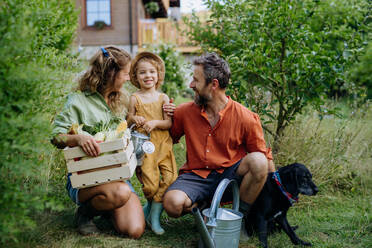 A happy farmer family with fresh harvest together in garden in summer. - HPIF04874