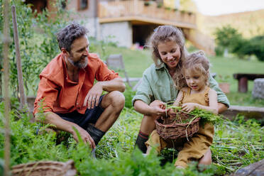 A happy farmer family with fresh harvest together in garden in summer. - HPIF04878