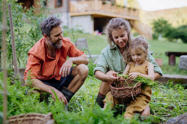Eine glückliche Bauernfamilie mit frischer Ernte im Garten im Sommer. - HPIF04878