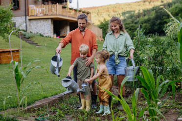 Bauernfamilie beim gemeinsamen Gießen des Gemüsegartens im Sommer. - HPIF04882