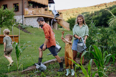 Eine Bauernfamilie hat Spaß beim gemeinsamen Gießen des Gemüsegartens im Sommer. - HPIF04883