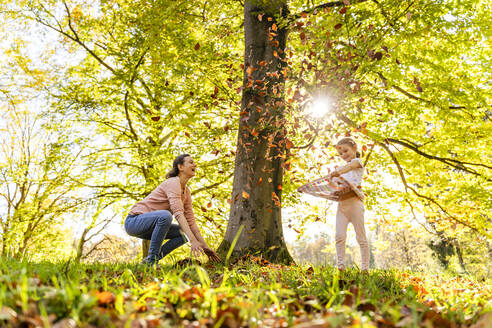 Glückliche Mutter und Tochter spielen mit Herbstblättern unter einem Baum - DIGF19670