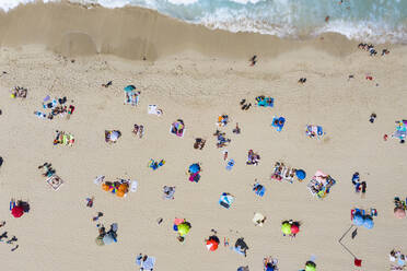 Spain, Majorca, Aerial view of people relaxing on Cala Agulla beach - AMF09725