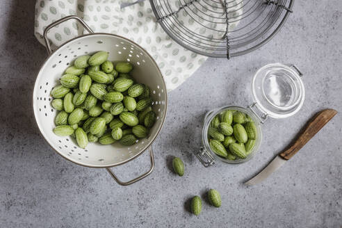 Sieb und Glas mit frisch gepflückten Cucamelons (Melothria scabra) - EVGF04235