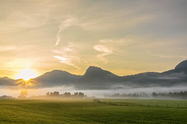 Germany, Bavaria, Rural landscape at foggy sunrise - FOF13234