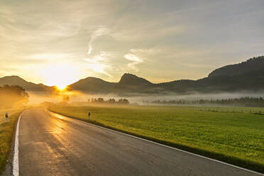 Germany, Bavaria, Jachenau, Country road at foggy sunrise - FOF13236