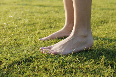 Young woman on fresh grass - SYEF00095