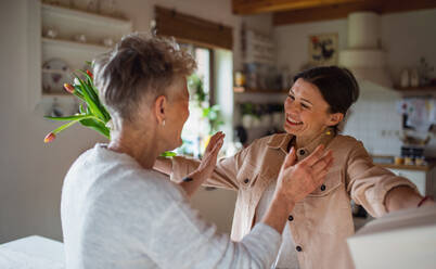 An adult daughter visiting happy senior mother indoors at home, mothers day or birthday celebration. - HPIF05164