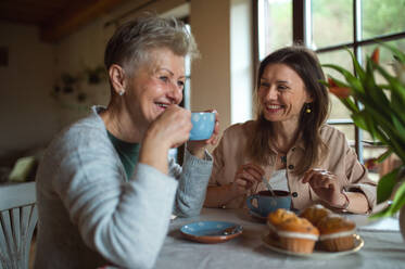 Eine glückliche ältere Mutter trinkt mit ihrer erwachsenen Tochter zu Hause Tee und unterhält sich. - HPIF05172