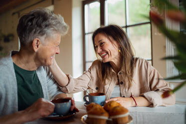 A happy senior mother having tea with adult daughter indoors at home, talking. - HPIF05173