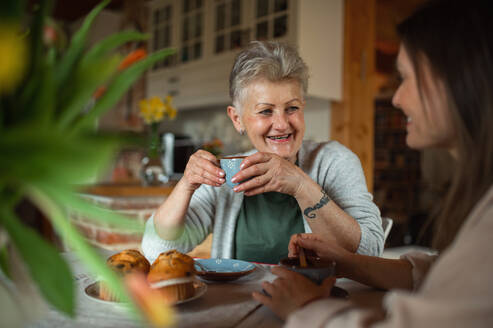 Eine glückliche ältere Mutter trinkt mit ihrer erwachsenen Tochter zu Hause Tee und unterhält sich. - HPIF05174