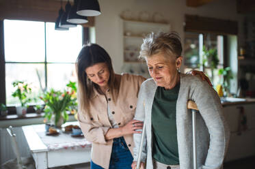 Happy adult daughter visiting ill senior mother with crutches indoors at home, walking with her. - HPIF05181