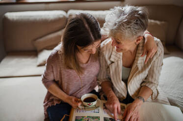 Blick von oben auf eine ältere Mutter mit ihrer erwachsenen Tochter, die sich zu Hause Familienfotos ansehen. - HPIF05204