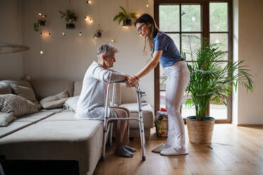 A healthcare worker or caregiver visiting senior woman indoors at home, helping her to walk. - HPIF05215
