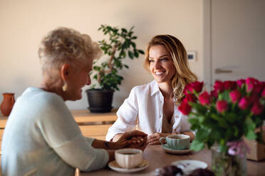 Eine glückliche ältere Mutter, die mit ihrer erwachsenen Tochter zu Hause Kaffee trinkt, sitzt und sich unterhält. - HPIF05233