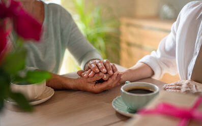 A close up of senior mother holding hand of adult daughter when having coffee together indoors at home - HPIF05234