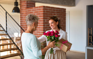Eine glückliche erwachsene Tochter bringt ihrer älteren Mutter ein Geschenk und einen Blumenstrauß nach Hause. - HPIF05246