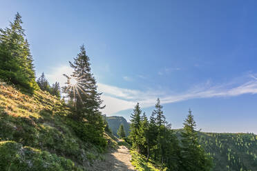 Deutschland, Bayern, Sommersonne scheint über Wanderweg in Bayerischen Voralpen - FOF13261