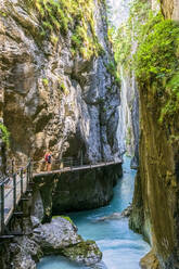 Österreich, Wanderin bewundert die Leutascher Ache, die durch die Leutascher Klamm fließt - FOF13299