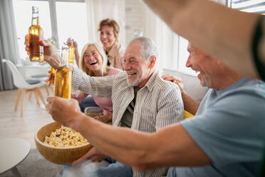 A group of cheerful senior friends watching movie indoors, party, social gathering and having fun concept. - HPIF05348