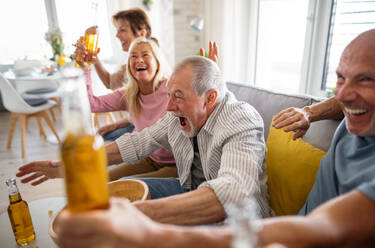 Gruppe von fröhlichen älteren Freunden beobachten Film drinnen, Party, geselliges Beisammensein und Spaß haben Konzept. - HPIF05349