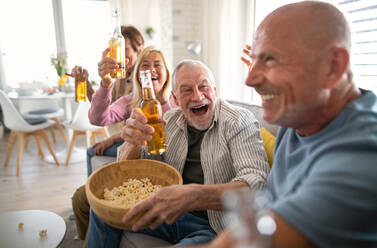 Group of cheerful senior friends watching movie indoors, party, social gathering and having fun concept. - HPIF05350