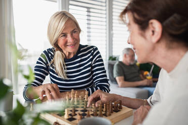 Gruppe glücklicher älterer Freunde, die drinnen Brettspiele spielen, Konzept für eine Party und ein geselliges Beisammensein. - HPIF05358
