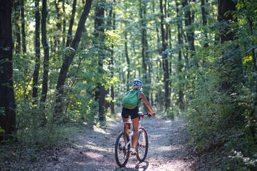 Eine Rückansicht einer aktiven älteren Radfahrerin im Freien im Wald. - HPIF05392