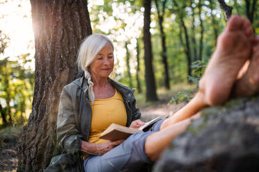 Eine ältere Frau entspannt sich und liest ein Buch im Freien im Wald. - HPIF05408