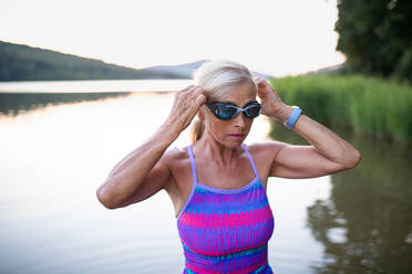 Ein Porträt einer aktiven älteren Frau, die im Freien am See schwimmt. - HPIF05420